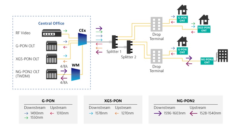 cex wm